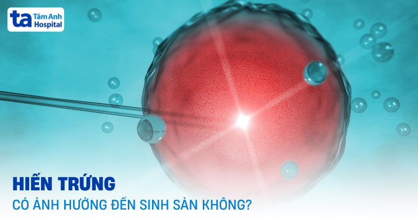 Hiến trứng có ảnh hưởng đến sinh sản không? Có hại sức khỏe?