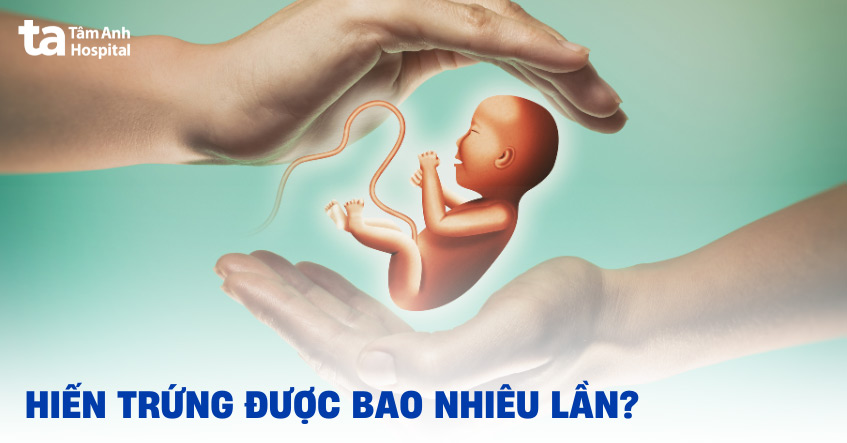 Hiến trứng được bao nhiêu lần? Nhiều lần thực hiện có sao không?