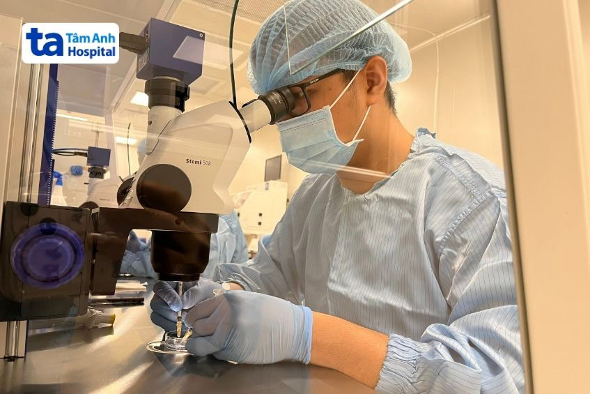 Kỹ thuật viên tiến hành tìm tinh trùng chất lượng trong mẫu thu được từ MESA