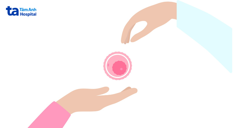 Liệu “hiến trứng có đau không?” Là trăn trở của nhiều chị em phụ nữ