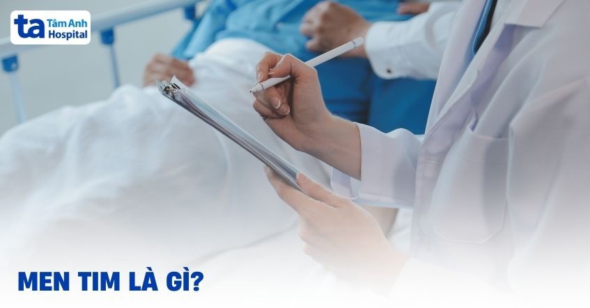 Men tim là gì? Phân loại, ý nghĩa, vai trò hoạt động ở tim