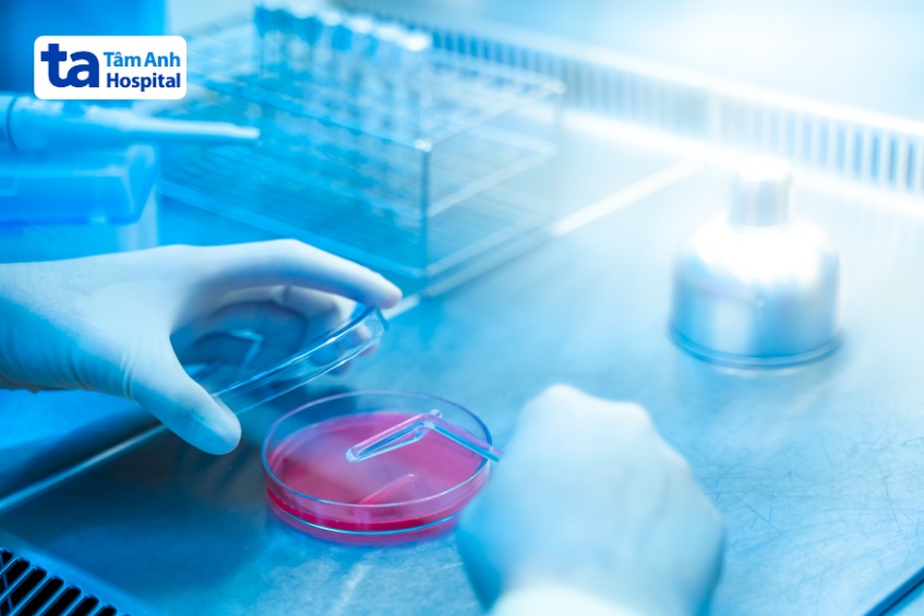 nên lưu trữ tế bào gốc đa năng