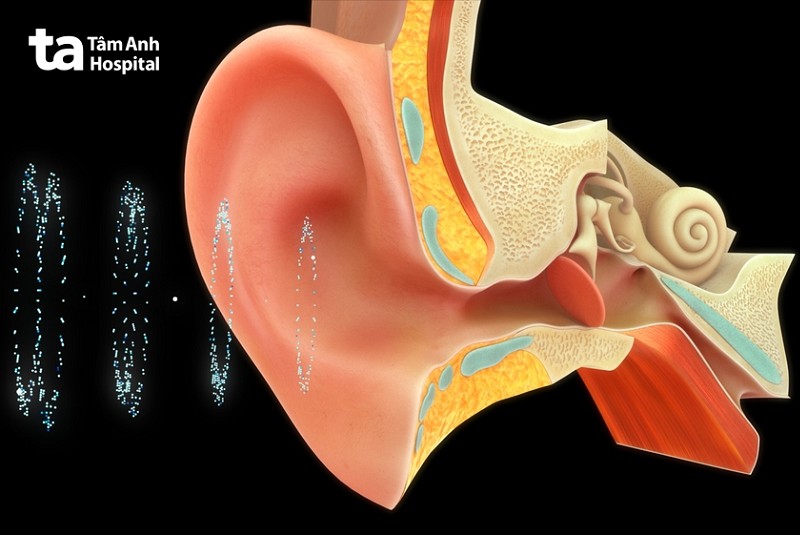 Ngưỡng nghe của tai người là bao nhiêu?