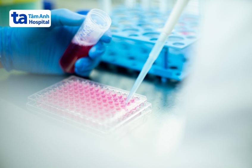 tiềm năng của tế bào gốc đa năng