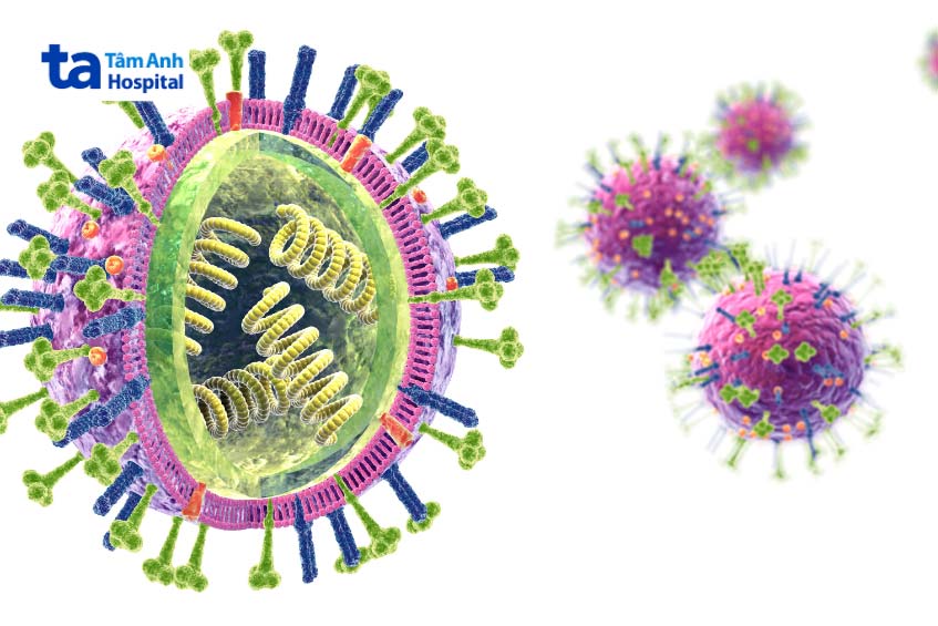 Virus cúm A gây đại dịch mức độ toàn cầu