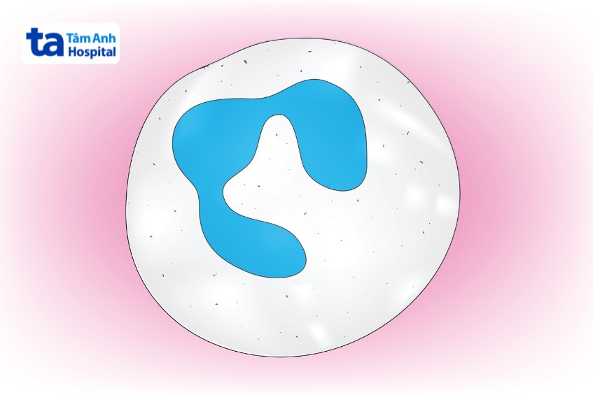 bạch cầu trung tính giúp cơ thể chống lại các tác nhân gây bệnh