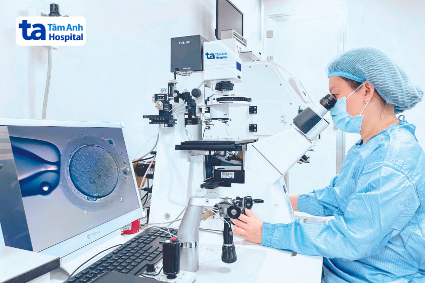 Thạc sĩ Nguyễn Ngọc Quỳnh, trưởng lab IVF Tâm Anh TP HCM, thực hiện kỹ thuật tiêm tinh trùng vào bào tương trứng (ICSI) giúp tăng tỷ lệ IVF thành công