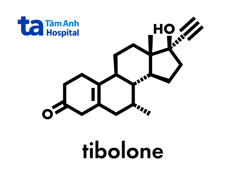 Các loại hormone thay thế