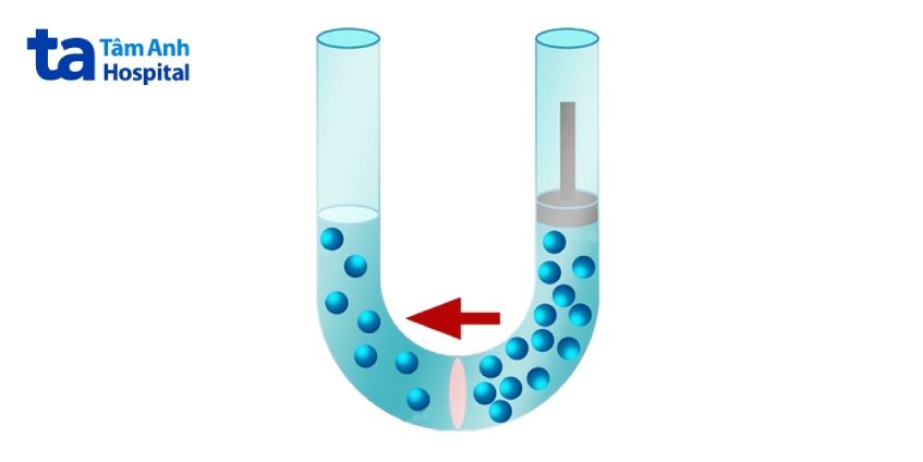 cơ chế lọc nước ro