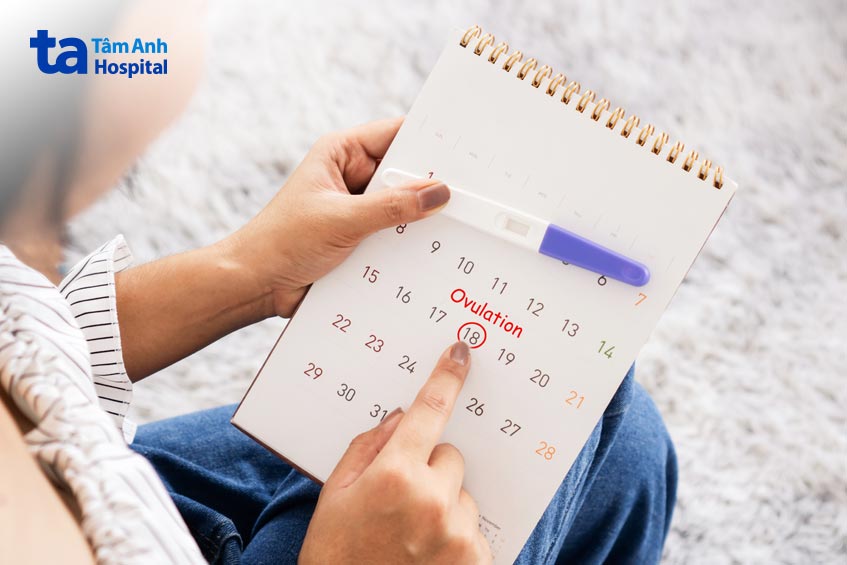 có nhiều cách xác định ngày phóng noãn