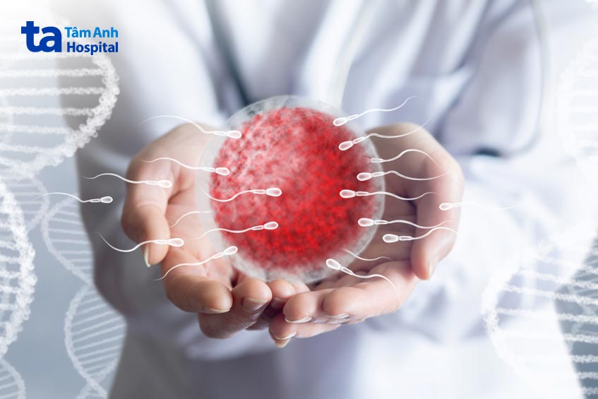 giai đoạn phóng noãn là thời điểm vàng để thụ thai