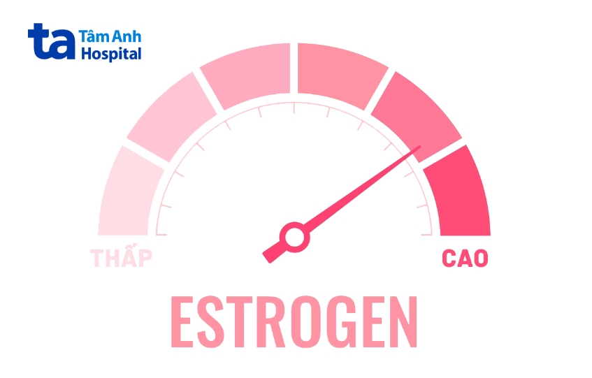 liệu pháp hormon thay thế