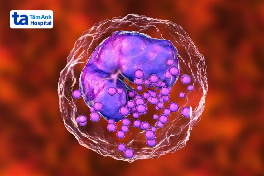 một số vấn đề sức khỏe có thể ảnh hưởng đến tình trạng bạch cầu ái kiềm