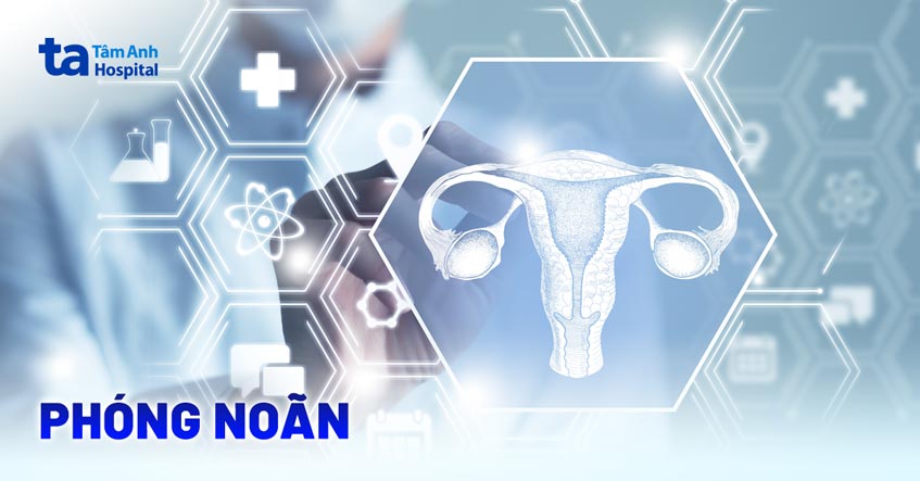 Phóng noãn là gì? Quá trình này diễn ra như thế nào?