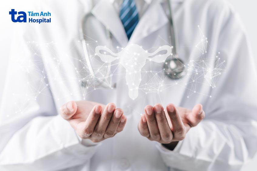 phóng noãn là quá trình giải phóng trứng