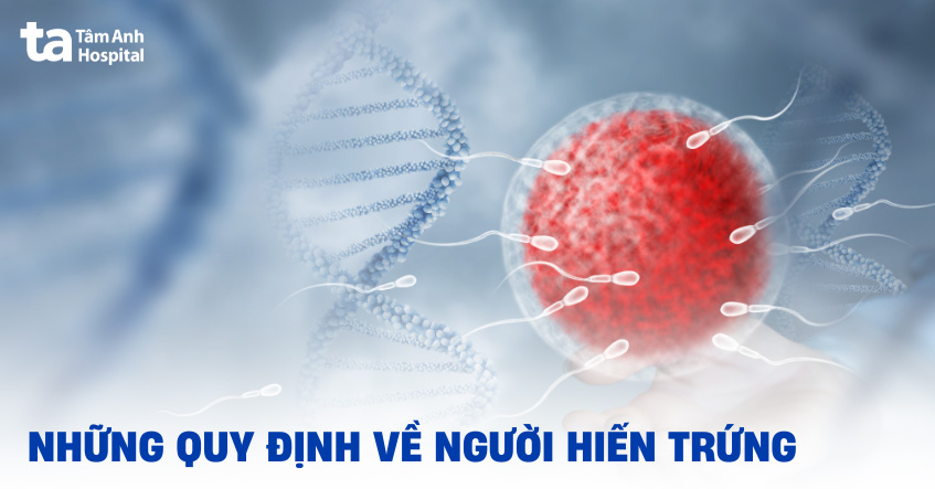 9 quy định về người hiến trứng cần đáp ứng trước khi đăng ký