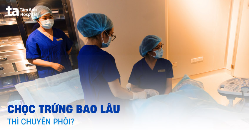 Sau khi chọc hút trứng bao lâu thì chuyển phôi