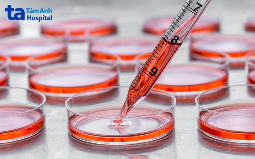 sử dụng tế bào gốc trong liệu pháp thiếu hụt tế bào là ứng dụng đầy triển vọng