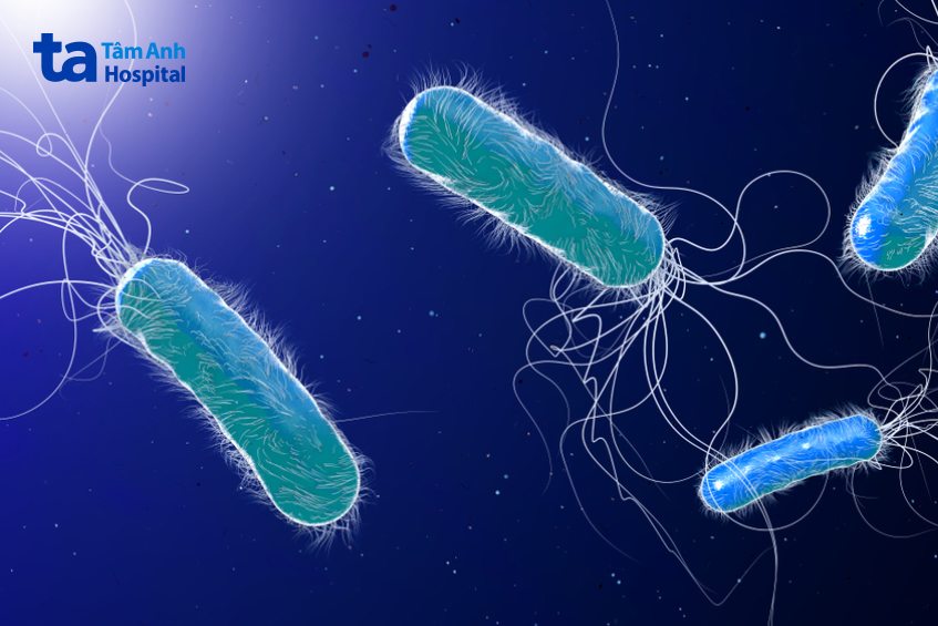 trực khuẩn mủ xanh