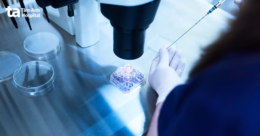 Tỷ lệ thụ thai thành công ở IVF Tâm Anh cao hàng đầu cả nước hiện nay
