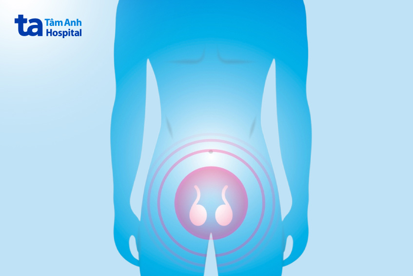 bệnh hay chấn thương tinh hoàn có thể dẫn đến suy sinh dục