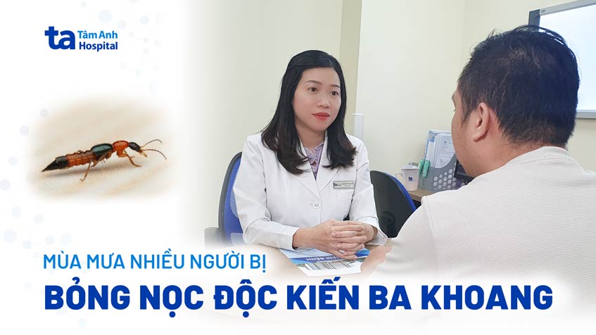 Mùa mưa nhiều người bị bỏng độc kiến ba khoang