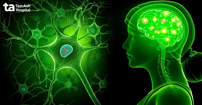 giang mai thời kỳ iii xoắn khuẩn tấn công hệ thần kinh não