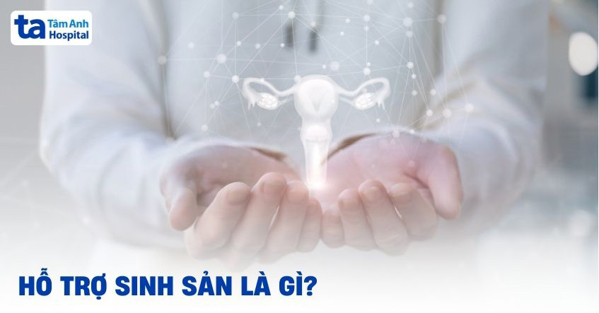 Hỗ trợ sinh sản là gì?