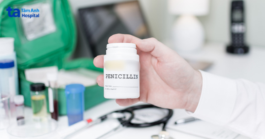 kháng sinh penicillin