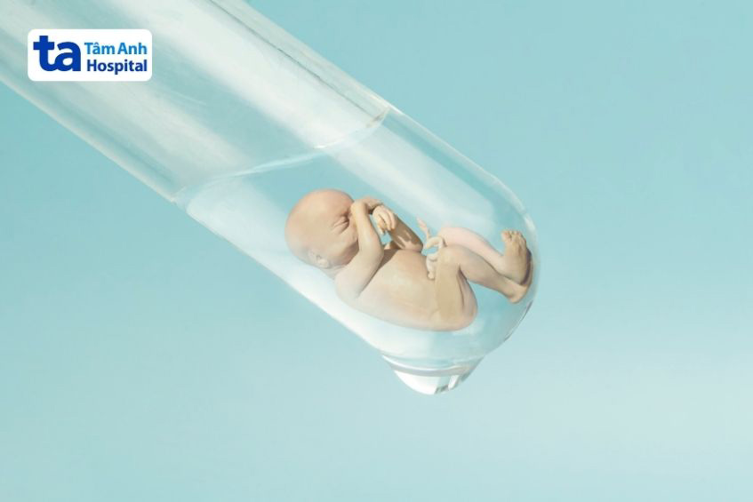 Kỹ thuật hỗ trợ sinh sản dần được chấp nhận và sử dụng rộng rãi từ những năm 80