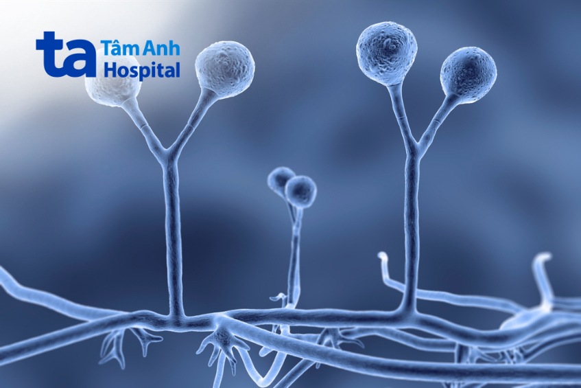 liệu pháp tân hỗ trợ điều trị ung thư vú