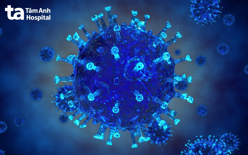 mô phỏng virus cúm b