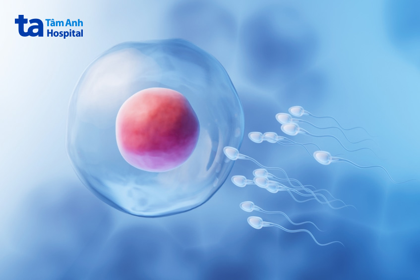 nam giới thường có 15 triệu tinh trùngml tinh dịch