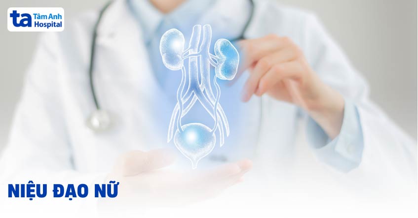 niệu đạo nữ