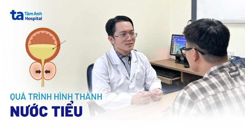 Nước tiểu (nước đái) là gì? Thông tin quan trọng bạn cần biết
