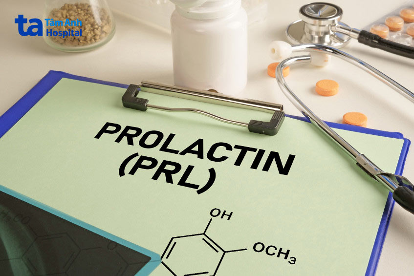 prolactin là hormon quan trọng được sản xuất bởi tuyến yên