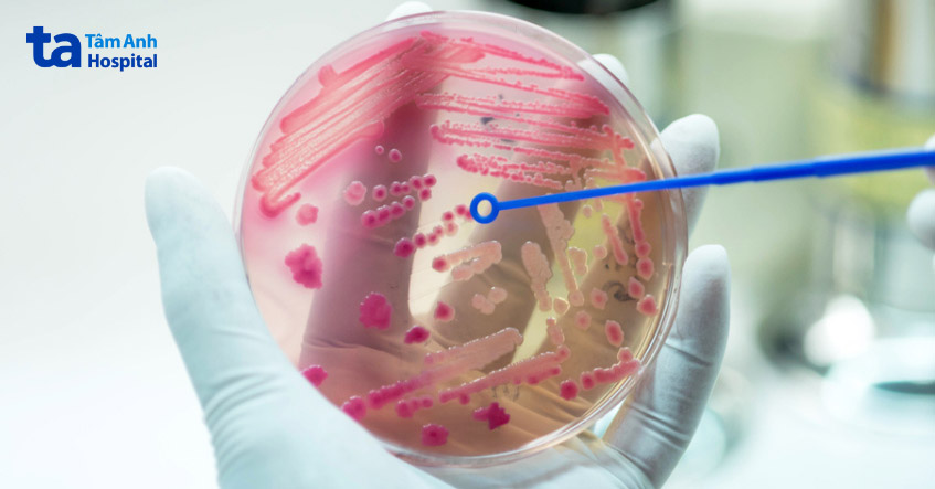 quan hệ tình dục khi bị viêm bàng quang sẽ đưa nhiều vi khuẩn hơn vào bàng quang