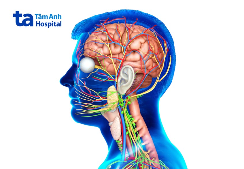 sưng nổi hạch thường do vi khuẩn hoặc virus