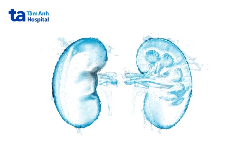 thận ứ nước có bao nhiêu giai đoạn