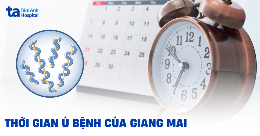 thời gian ủ bệnh giang mai