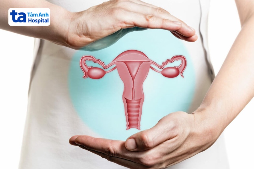 tiêm hpv phòng bệnh ung thư cổ tử cung âm đạo
