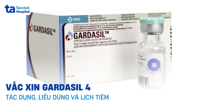 Vắc xin Gardasil 4: Tác dụng, chỉ định, liều dùng và lịch tiêm