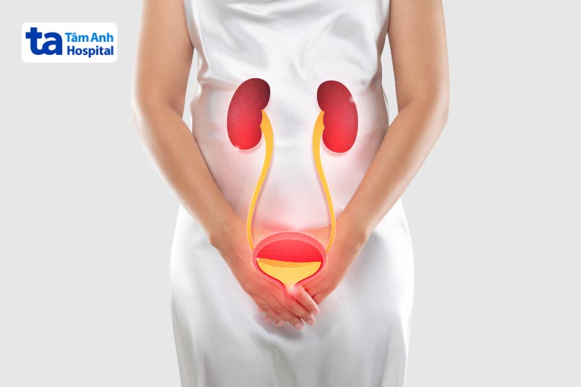 viêm niệu đạo là bệnh lý phổ biến ở nữ giới