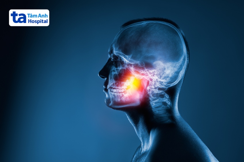 chức năng của hộp sọ người