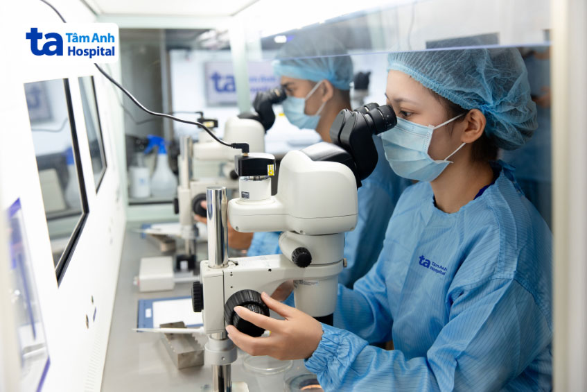Chuyên viên phôi học thực hiện tìm, tách noãn (trứng) để thụ tinh ống nghiệm