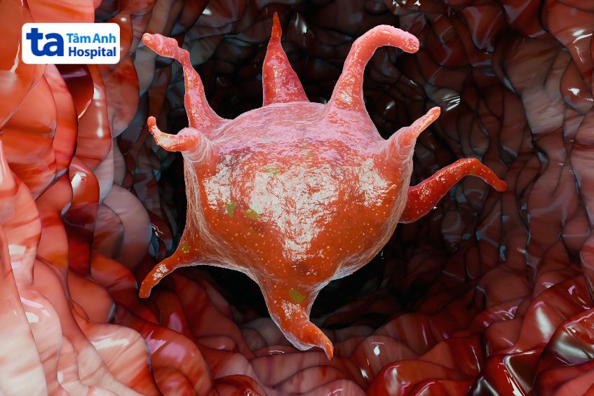 giảm tiểu cầu không phải là ung thư máu