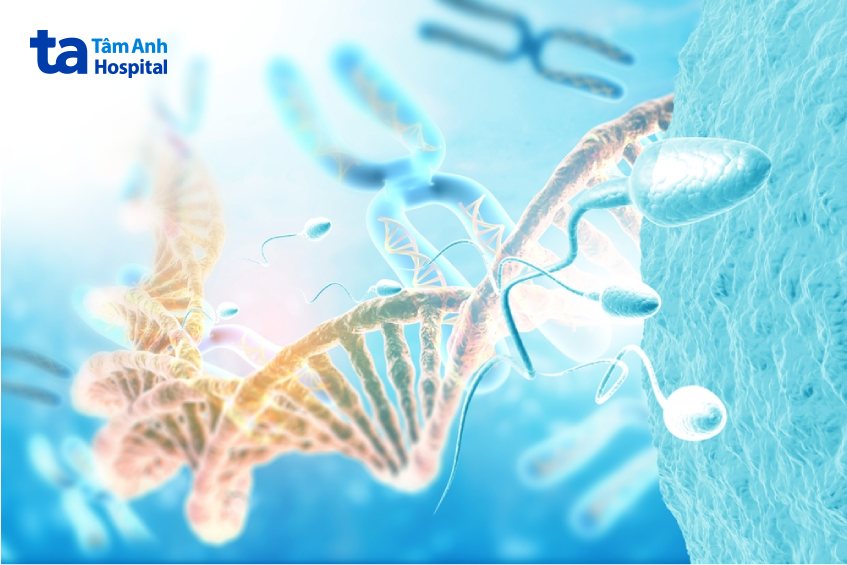 kết cấu của tinh dịch