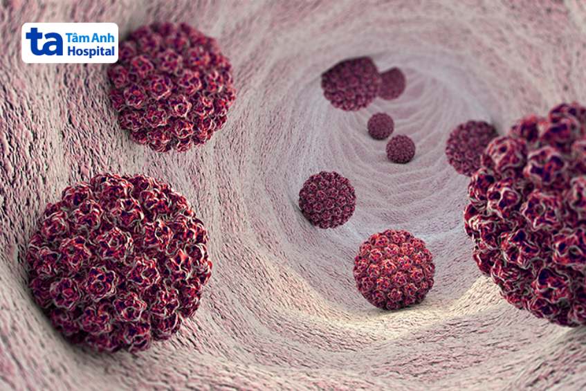 mô phỏng virus u nhú ở người