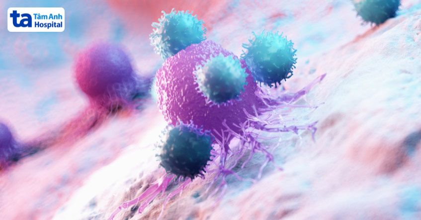 Sự dư thừa hay thiếu hụt tế bào NK đều ảnh hưởng đến kết quả sau chuyển phôi