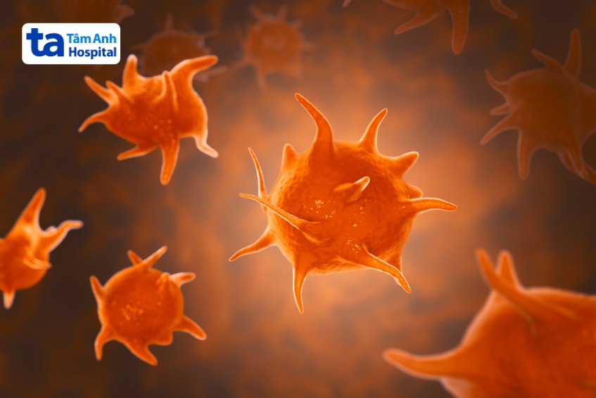 tìm hiểu về xuất huyết giảm tiểu cầu trong máu